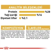 Royal Canin Chihuahua Yetişkin Köpek Maması 1,5 Kg thumbnail 4