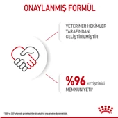 Royal Canin Mother&Baby Cat 34 Anne Ve Yavru Kedi Maması 2 Kg - 2