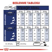 Royal Canin Maxi Adult Büyük Irk Yetişkin Köpek Maması 15 Kg thumbnail 3