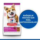 Hill's SCIENCE PLAN Yetişkin Küçük ve Mini Irk Kuzulu ve Pirinçli Köpek Maması 6 kg thumbnail 2