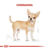 Royal Canin Chihuahua Yetişkin Köpek Maması 1,5 Kg thumbnail 6