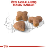 Royal Canin Sensible 33 Hassas Sindirimli Kediler Için Kedi Mamasi 15 Kg thumbnail 3