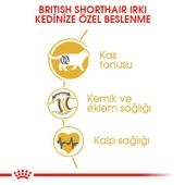 Royal Canin British Shorthair Yetişkin Kedi Maması 4 Kg - 4