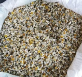 PAPATYA KURUSU 500 GR ( doğal kurutulmuş yeni mahsül taze ürün ) - 1