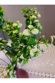 YASİMA ADET  MİNİK YAPRAKLI BEYAZ  YAPAY ÇİÇEK EV DEKORASYON ARANJMAN DEKOR BALKON 30 CM thumbnail 1