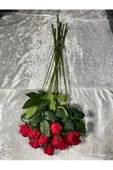 Yapay Buket Yapay Kadife Gül 10 Adet Kırmızı 50 cm - 4