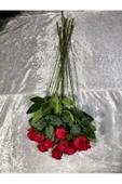 Yapay Buket Yapay Kadife Gül 10 Adet Kırmızı 50 cm - 6