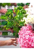 YASİMA OKALİPTUSYapaY ÇiçeK Saksı Demeti Dikey Bahçe Balkon Saksı Vazo Bitkisi 1. Kalite55CM - 3