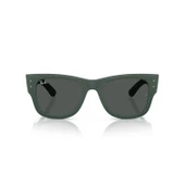 RAY-BAN RB4840S 665787 52 Unisex Güneş Gözlüğü thumbnail 1