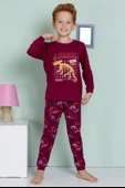 Erkek Çocuk Dinazor Desenli Uzun Kollu Pijama Takımı - 5
