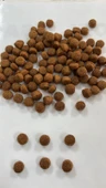 HOW MEOW YAVRU KÖPEK KURU MAMASI KUZULU ve PİRİNÇLİ  15 kg - 2