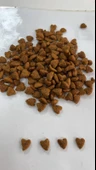 HOW MEOW YETİŞKİN KEDİ KURU MAMASI TAVUKLU 15 KG - 2