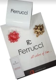 Ferrucci Kadın Kol Saati+Bileklik Özel Seri Çelik Kordon Kararma Renk Atma Yapmaz BİLEKTE.F.07.02 - 4