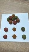 PETEKO YETİŞKİN KEDİ KURU MAMASI GURME 15 KG - 2