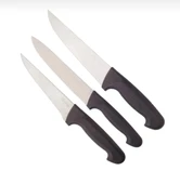 Aryıldız Bıçak Seti 3 Parça - 1