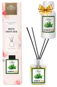 Nane Kokusu 100 Ml Çubuklu Oda Kokusu Yedek Dolum Şişesi Hediyeli - 1