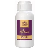 Mina Kokusu 100 Ml Çubuklu Oda Kokusu Yedek Dolum Şişesi Hediyeli thumbnail 2