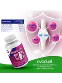 EVODUAL (Glikozamin, Kondroitin, MSM ve T İP II Kollajen İçeren Tablet Takviye Edici Gıda) - 1