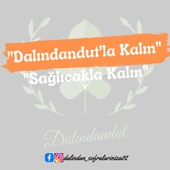 Yeni Mahsül Doğal Siyah Üzüm Kurusu 500gr (YERLİ) - 2