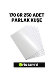 Çözüm Kağıt A4 Parlak Kuşe 170 gr 250 Adet thumbnail 1