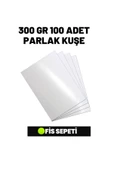 Çözüm Kağıt A4 Parlak Kuşe 300 gr 100 Adet thumbnail 1