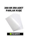 Çözüm Kağıt A4 Parlak Kuşe 200 Gr 250 Adet thumbnail 1