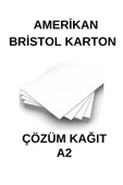Çözüm Kağıt Amerikan Bristol Karton A2 42X59,4 Cm 350 gr - 50 Adet - 1