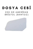 Çözüm Kağıt Dosya Cebi 250 Gr Amerikan Bristol Bantsız 250 Adet thumbnail 1
