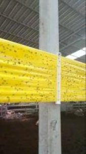 KARASİNEK TUZAĞI 0,15X100 M - 3
