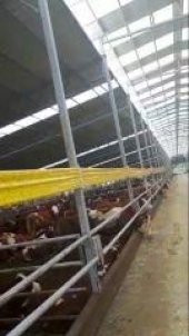 KARASİNEK TUZAĞI 0,15X100 M - 4