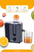 Sinbo SJ-3148 1000 W Katı Meyve Sıkacağı - 3