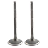 Yamaha YBR125 Subap Takımı Vtc - 1