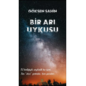 BİR ARI UYKUSU - 1