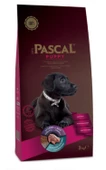 Pascal Puppy Kuzu Etli Pirinçli Yavru Köpek Maması 3 Kg - 2