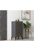 DEMONTE DECOR NORRA (H) 3 Kapaklı Etejer-şifonyer ANTRASİT-ALTIN - 2