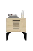 DEMONTE DECOR ASİMO (G) KOMİDİN SAFİRMEŞE-SAFİRMEŞE - 3
