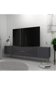 DEMONTE DECOR DEKOL1DD TV SEHPASI ANTRASİT-ALTIN - 2