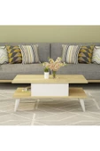 DEMONTE DECOR Betta Klasik Orta Sehpa Safirmeşe-Beyaz - 2