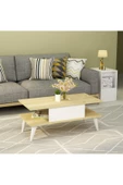 DEMONTE DECOR Betta Klasik Orta Sehpa Safirmeşe-Beyaz - 1