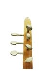 Kısa Sap Kestane Saz Bağlama Set - 3