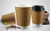 8 oz DOUBLE WALL TAKEAWAY KARTON BARDAK (230 ml) (1000 adet) - 1