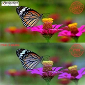Perfection Dye Bazlı Tüm Kartuşlu ve Tanklı Yazıcılar Uyumlu Üniversal Mürekkep Dolum Seti 4x100 gr. - 2