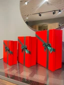 Kolix 3'lü Yılbaşı Dekoratif Yeşil Fiyonklu Hediye Kutusu Kırmızı 35x25x13 Cm Büyük Boy - 3