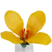 LAHANA ÇİÇEĞİ thumbnail 2