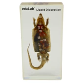 KERTENKELE KESİTİ thumbnail 2