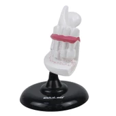 YARIM ÇENE DİŞ MODELİ thumbnail 3