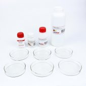 RENKLİ ALEVLER DENEY SETİ thumbnail 2