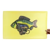 KILÇIKLI BALIĞIN İÇ YAPISII MODELİ thumbnail 1