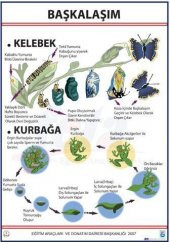 BAŞKALAŞIM LEVHASI thumbnail 2