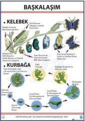 BAŞKALAŞIM LEVHASI thumbnail 3